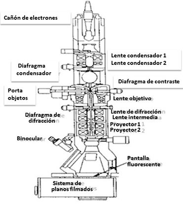 Microscopio Electronico 1 Microscopio electronico 3