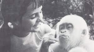 Efemerides año 1963 3 Nace Copito de Nieve