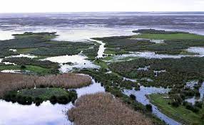 Efemerides año 1969 3 Parque natural de Doñana 1969