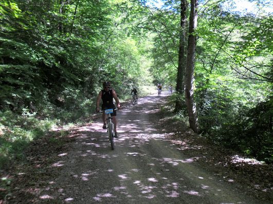 Consejos Mountain Bike basicos 6 Consejos mountain bike 4
