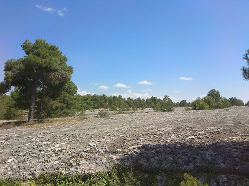 Que podemos ver en Cuenca 8 Mar de piedra en Cuenca