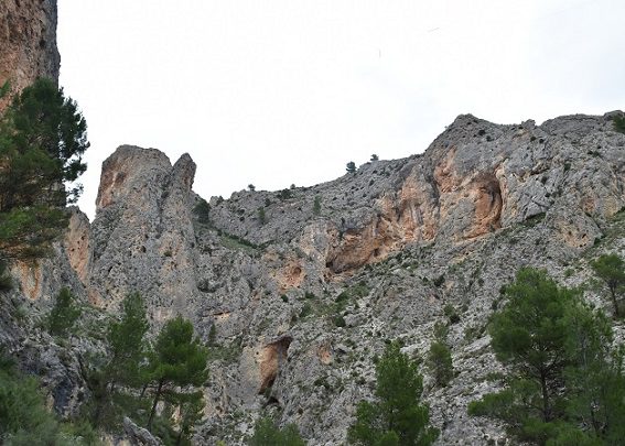Vias de Escalada Barranc del Cint en Alcoy (Alicante) 10 Zona escalada barranc del Cint