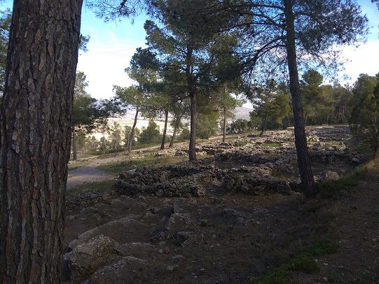 Senderismo Moixent Poblado Ibero Barranco la Bastida 13 Ruta senderismo poblado Ibero barranco la Bastida 6
