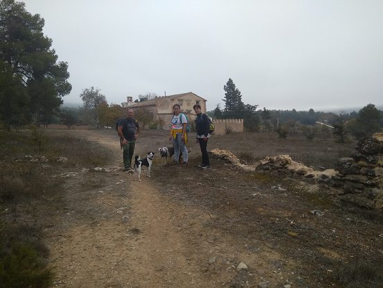 Senderismo Bocairent Font Teular Cueva de la Sarsa 5 Ruta senderismo Bocairent cova la Sarsa 3