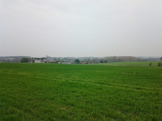 Paisaje campos Barbesieux (Francia)