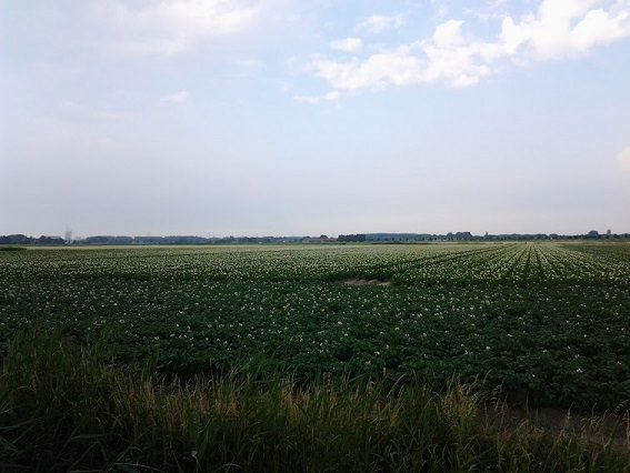 Paisaje campos de Klundert (Holanda)