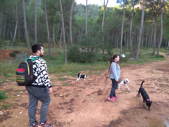 Ruta senderismo cova la Pechina el Aventador 12 Ruta senderismo Bellus el Aventador 5