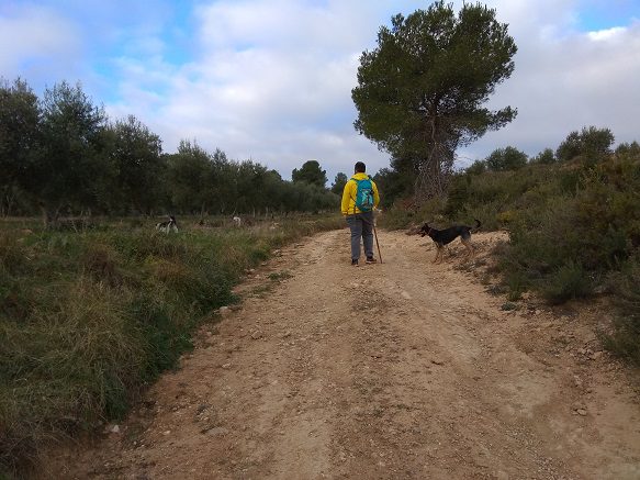 Senderismo Ermita Morera Pla de les Simes Fuset 10 Ruta senderismo ermita Morera Fuset 2