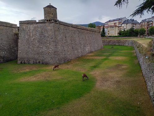 Que podemos ver en Huesca (Aragon) 7 Ciudadela san Pedro de Jaca