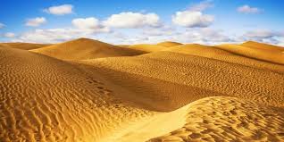 Preguntas curiosas con respuesta 11 Desierto