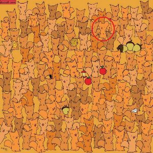 Juegos de acertijos con imagenes 20 Solucion acertijo ardillas raton