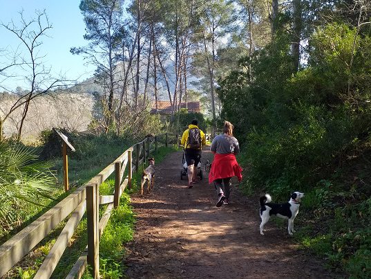 Ruta senderismo Estret de les Aigues (Bellus) 12 Estret de les Aigues 5