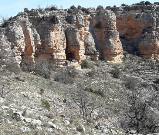Zona escalada Torralba de los Frailes (Zaragoza) 14 Zona escalada Torralba de los Frailes