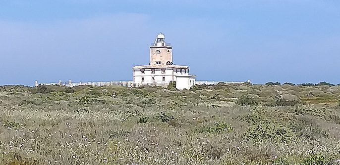 Que podemos ver en Tabarca (Alicante) 15 Faro de Tabarca