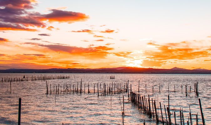 Que podemos ver en Valencia 4 La Albufera