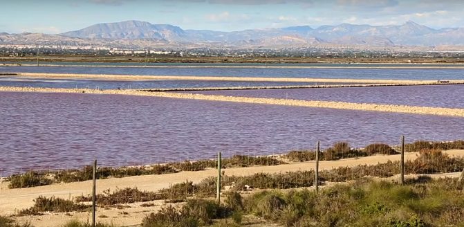 Que podemos ver en Tabarca (Alicante) 8 Salinas de santa Pola