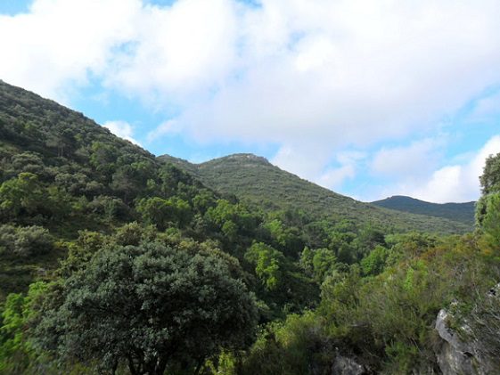 Sierra del Buscarro