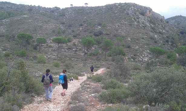 Las mejores rutas senderismo Alicante 15 Rutas senderismo Alicante